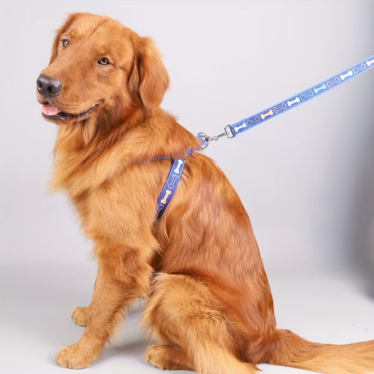 Harnais réglable pour chien av - D Ring Strap avis et prix